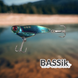 Цикада BASSik Star L 3.5 гр. Колір #2 vbrioсс фото 3